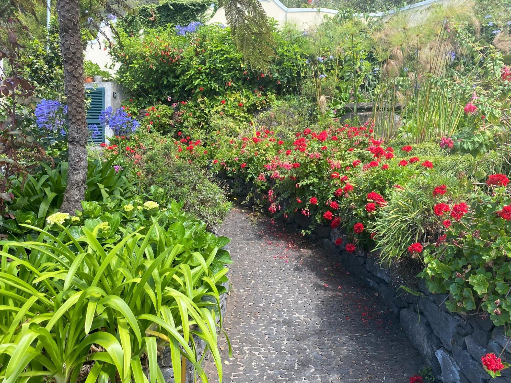 Quinta das Hortênsias by AnaLodges Madeira Arco de São Jorge Exterior foto